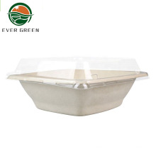 Biodegradable Square Take Out Paper Bagasse Salad Bowl